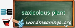 WordMeaning blackboard for saxicolous plant